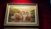 DSC_0304.thumb.JPG.c3c2a7988b853239aa5beac6aaf6197b.JPG