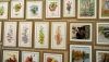 DSC_0316_1.thumb.JPG.61efa0576b2e0664e2149d994c2762c1.JPG