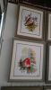 DSC_0616.thumb.JPG.497ffd2bdce2a396bcea87a93bf147a3.JPG