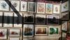 DSC_0618.thumb.JPG.aa956b6669a833a09a06cd3a6b1ba229.JPG