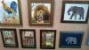 DSC_0620.thumb.JPG.e2f1027fe30e66c03af6b497a70ecb42.JPG