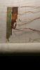 IMG-20170111-WA0007.jpeg