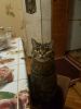 IMG-20170124-WA0012.thumb.jpg.1169603fe2536f292630f6e5fe8b731a.jpg