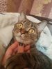IMG-20170208-WA0003.thumb.jpg.99cfad6de1f0d5fd986c4627774c7f46.jpg