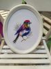 IMG_2017-02-17_172641.jpg