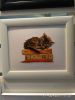 IMG_2017-02-17_172719.jpg