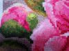 IMG_20170201_224503.jpg