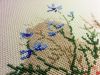 IMG_20170206_1053591.jpg