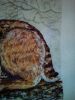 IMG_20170211_001527.jpg
