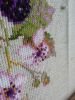 IMG_20170214_133715.thumb.jpg.f1ea1855550b1a7629d2b340421b5571.jpg