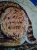 IMG_20170219_005205.jpg