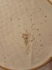 IMG_20170225_205423.thumb.jpg.c42cb3bc143d0019728ad5b978907d99.jpg