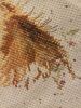 IMG_20170228_021035.thumb.jpg.75c0e14f8f347c70baaad5934bead1c6.jpg
