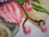 IMG_6755.thumb.JPG.449383f5d5a2b6d839f880a00a9841b3.JPG