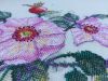 IMG_7184.thumb.JPG.015587c0f24fea3388b85b2012dce048.JPG