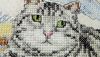 IMG_7439.thumb.JPG.152e03811c72b2e073e0fdb55cec801f.JPG