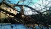 image.thumb.jpeg.4fa1f1cb48f64895304d45ee069d2ac6.jpeg