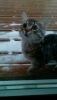 image.thumb.jpeg.cd6bb78a75bbda9779fbc8d34e69f8f3.jpeg