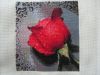 2.thumb.JPG.16dd782ead502921aa444535ee8b6b47.JPG