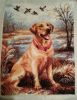 20160704_235829.jpg