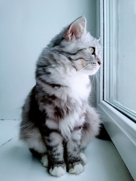 Аватар lebedevaolga12