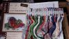 20170129_155858.thumb.jpg.a9ecd7d87a618c91cdda63c2e8bcd226.jpg