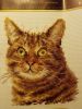 20170302_130840.thumb.jpg.fa4977cb004dc0766c868e061d3a0412.jpg