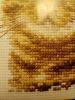 20170302_130907.thumb.jpg.3fc188a53e4c10e7bf23e885b406f596.jpg