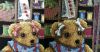 20170304_154351.thumb.jpg.c24fcfdd6050dd1afaec12d63474ab22.jpg