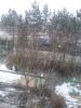 20170310_182056.thumb.jpg.8613ad59409d77ed876d53d4542ead3c.jpg