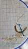 20170316_143140.thumb.jpg.d2edf4dad75048e6f2925b1f5b1bc150.jpg