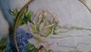 20170325_131037.thumb.jpg.44dc22ae3c307cfb057d616108b8eb40.jpg