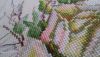 20170326_170102.thumb.jpg.103c2d01008edceed314583564cb3965.jpg