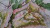 20170326_170112.thumb.jpg.0888585ad769fa4fd4e7995800add623.jpg