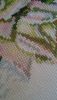 20170326_215809.thumb.jpg.6f6306b95fe48685f43ea7bdb902318c.jpg