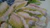 20170326_215922.thumb.jpg.0e63e7961e36ff32d2ef5a331c4fe276.jpg