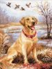 26858.thumb.jpg.48c9a43050bbde8a810e16b8f495a65a.jpg