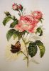 3.thumb.JPG.2ceca3ead7f5a4b60205c73cf665f9b5.JPG