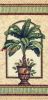 Dimensions 35086, Величественная пальма (Stately Palm)