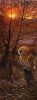 39_463-a.thumb.jpg.9584b1fb70ae5cde240dbd206f23ed90.jpg