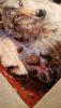 4.thumb.JPG.48a58d81e762d554893647c6dc757644.JPG