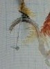 58ba68437e864_16.thumb.jpg.8ee953d6c9f2bc77464a5ccd66ef9866.jpg?1488611393614