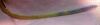 6-Ia1qcJ5zQ.thumb.jpg.48a1f3e5771f5a1df007b7e77339314c.jpg