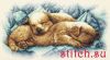 9328.thumb.jpg.dea9e430fbbac67fc08a50111f153b23.jpg