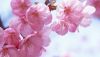 95138-1600x900.thumb.jpg.dc4e9c0a54bf04e4da08af0e088df0b1.jpg