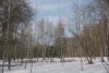 DSC01474.thumb.JPG.c00103c2e514779da225e00d08aa9c88.JPG