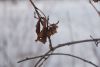 DSC01505.thumb.JPG.6a15d522b889c8c1c04a5ec14027910f.JPG