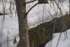 DSC01514.thumb.JPG.57e952620a121fc4bc4fa63e9f56d0c0.JPG
