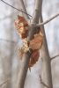 DSC01521.thumb.JPG.dd3eb85e9594c87cd3154b2d01a95546.JPG