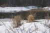 DSC01585.thumb.JPG.a627e492966698692775fd125cf225ab.JPG